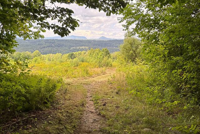 A singletrack trail running out of the trees onto an open hillside, with distant hills beyond