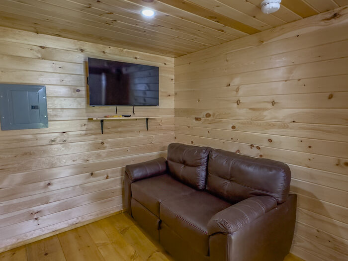 The living room with a pull-out couch and a wall-mounted television under pine walls