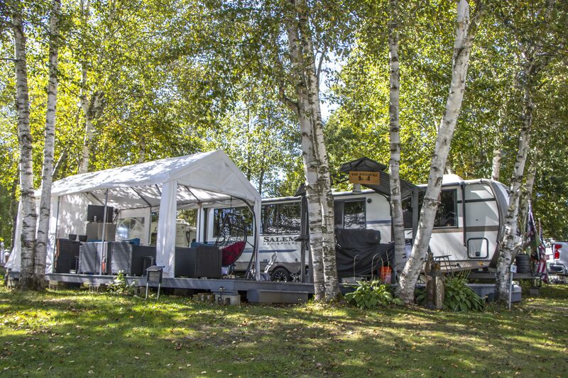A white canopy and camper tucked in among tall white birches