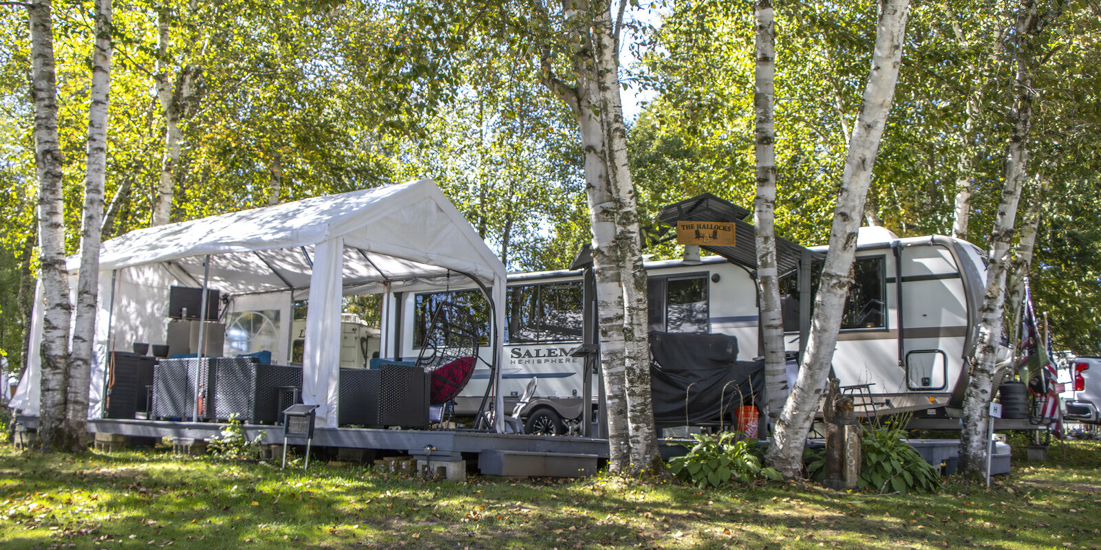 A seasonal camper set beneath a grove of birch trees
